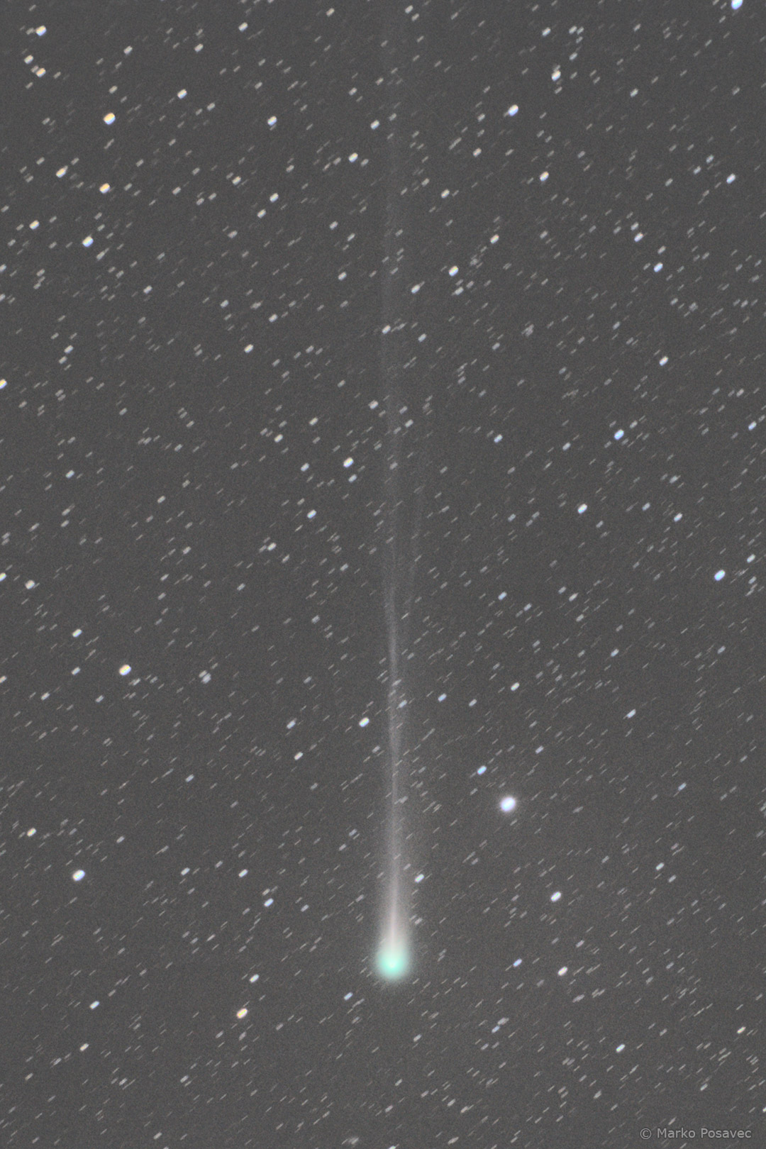 Komet Lemmon sa zelenkastom jezgrom i tankim repom u kojem se razaznaje više pramenova