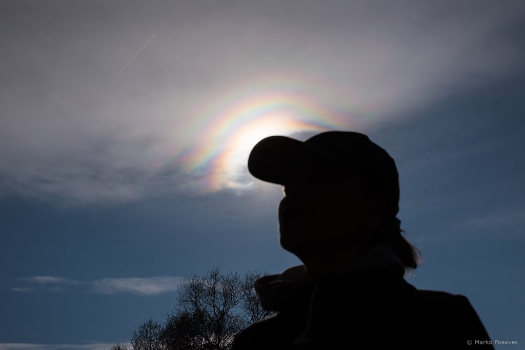 Proljetni šareni vijenci, ali ne od cvijeća