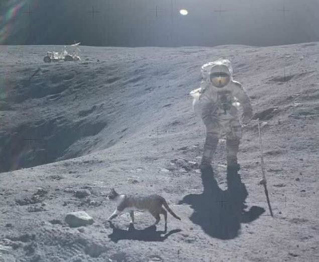 Zašto ljudi pišu tolike gluposti