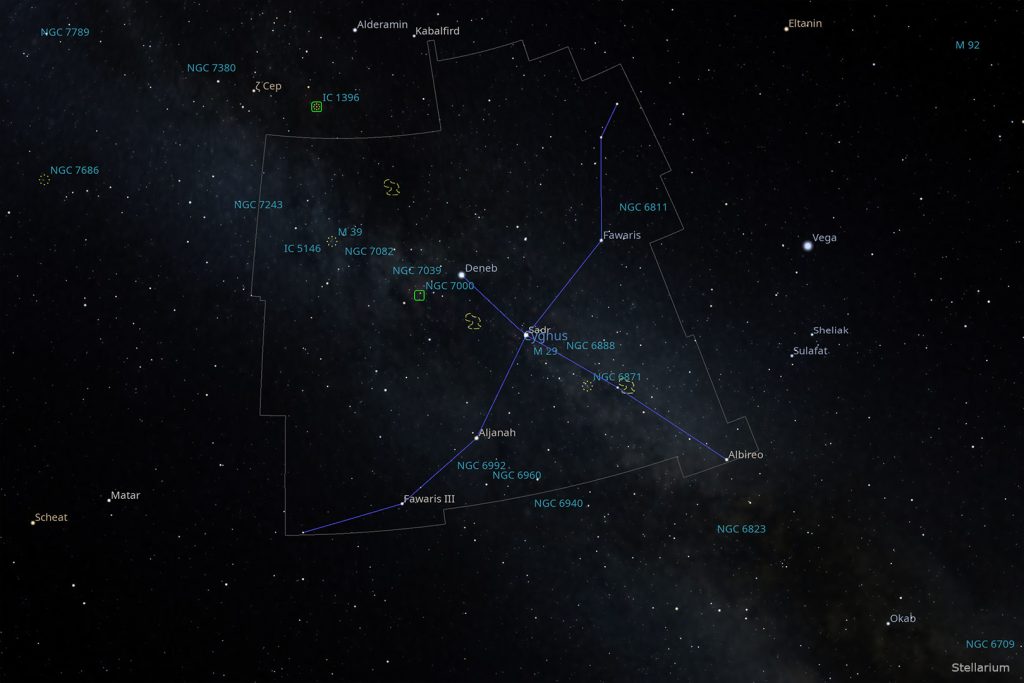 Cygnus