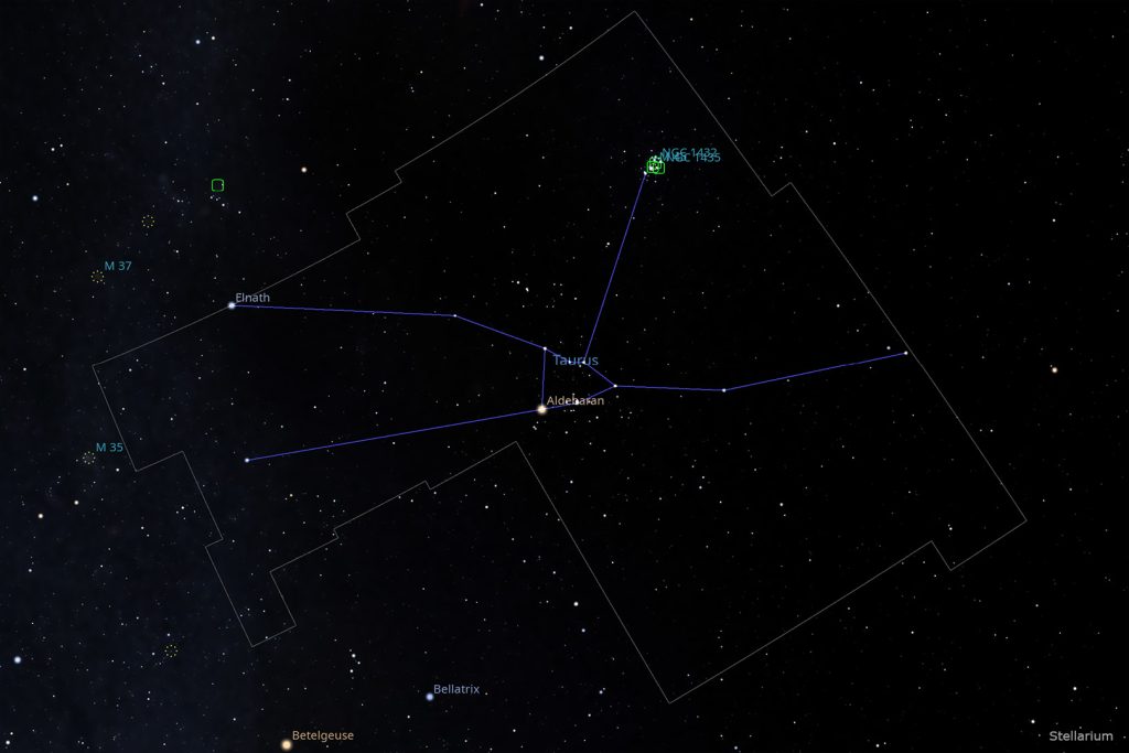 Taurus